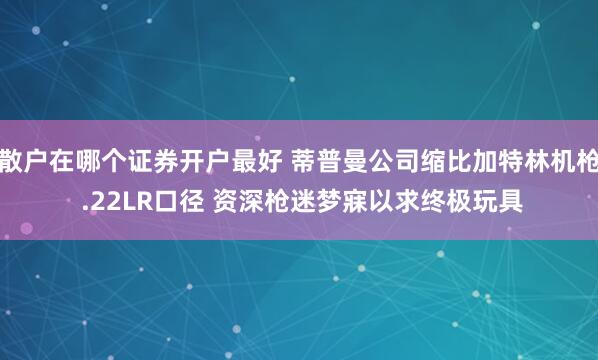 散户在哪个证券开户最好 蒂普曼公司缩比加特林机枪 .22LR口径 资深枪迷梦寐以求终极玩具