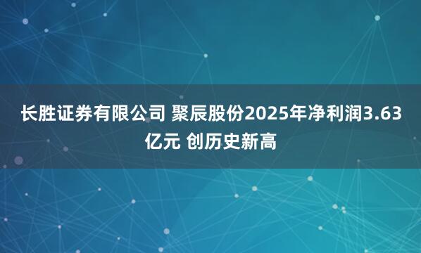 长胜证券有限公司 聚辰股份2025年净利润3.63亿元 创历史新高